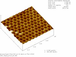 NanoScope dual image screen dump